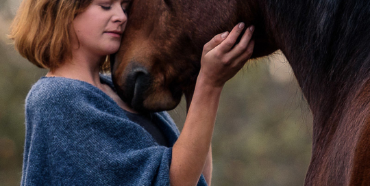Frau nimmt zärtlich den Kopf ihres Pferdes in die Hände